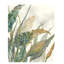 Tropical Breeze I Print by Sara Brown-26772429-26772433
