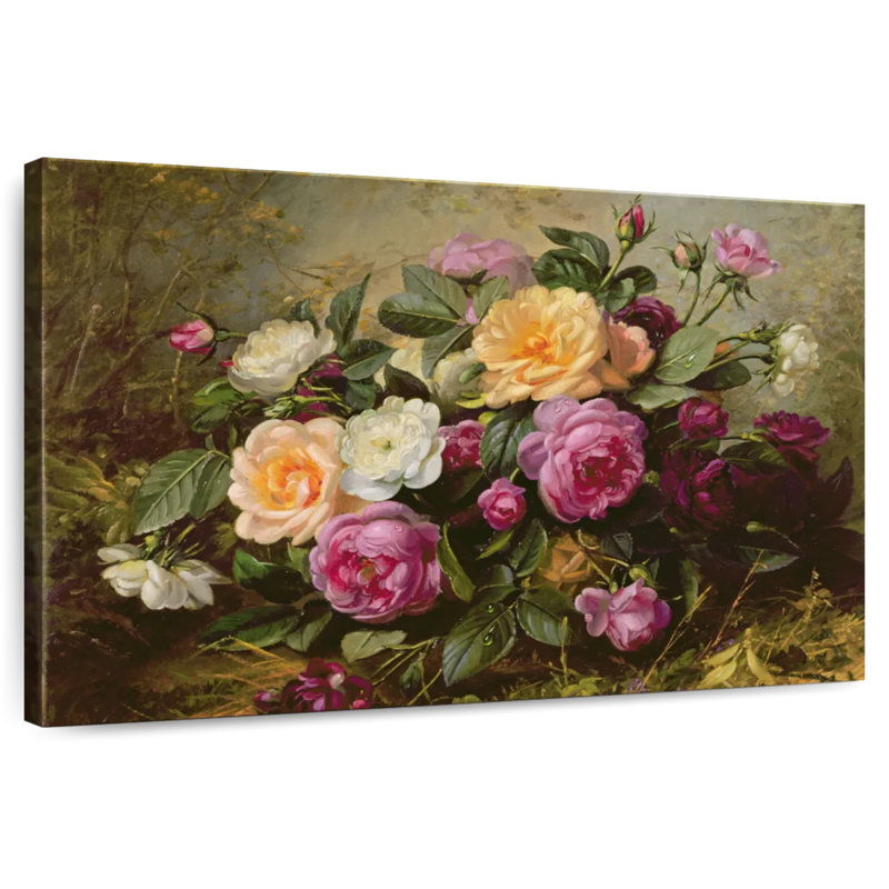 Roses Harnek, H 24 po x l 36 po