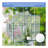 6X10FT Polycarbonate Greenhouse Raised Base And Anchor Aluminum Heavy Duty Walk-In Greenhouses For Outdoor Backyard In All Season