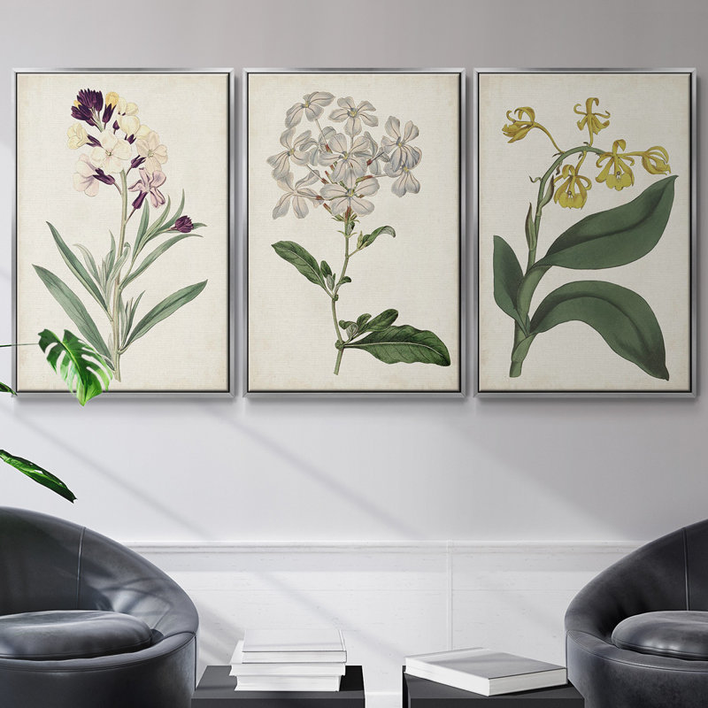 Ensemble de 3 pièces encadrées sur toile Antique Botanical Collection VII, H 36 po x l 72 po, Argent