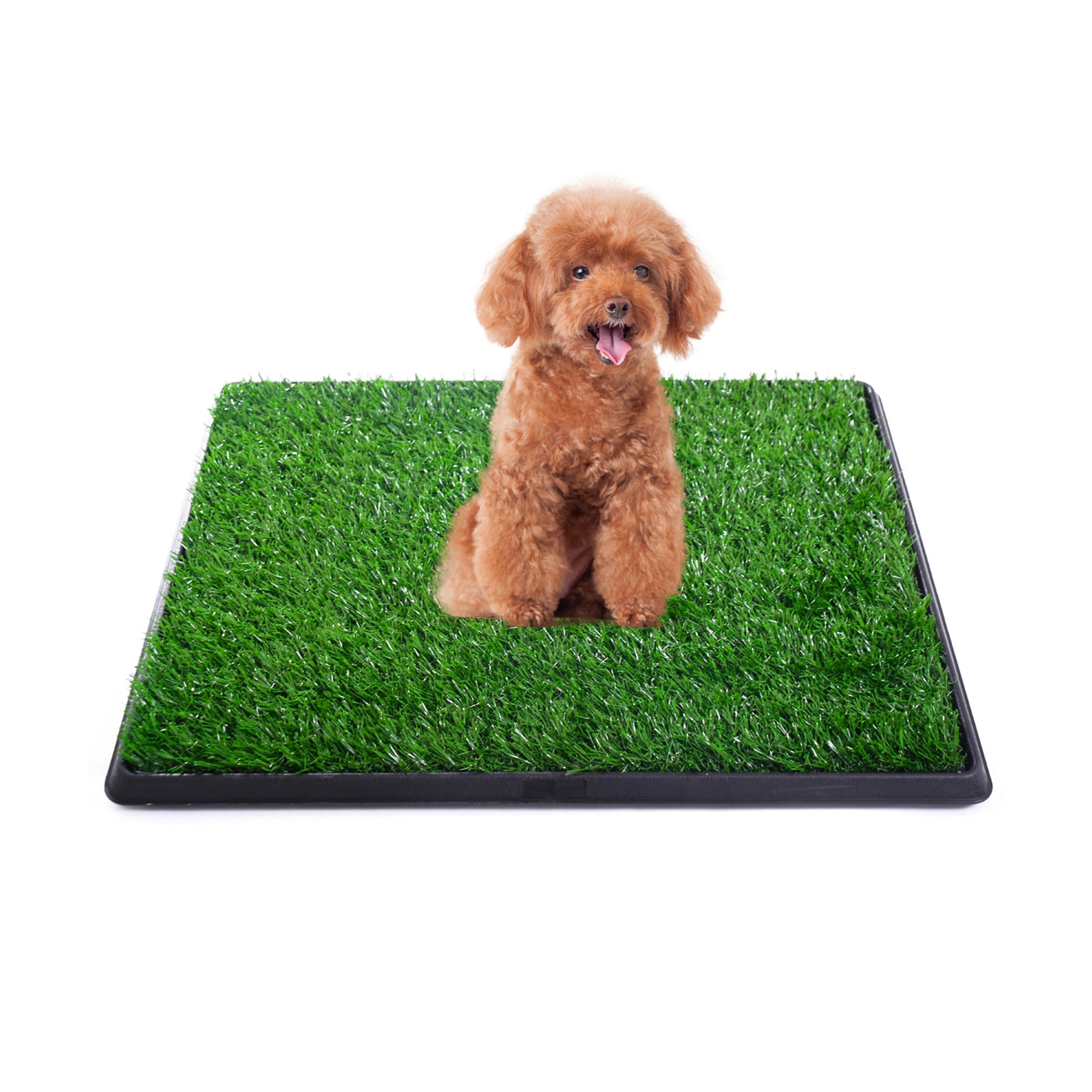 Pet pee grass clearance pad