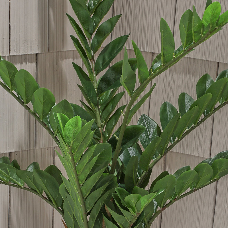 UV Potted ZZ Plant, 31" H x 15" W x 15" D