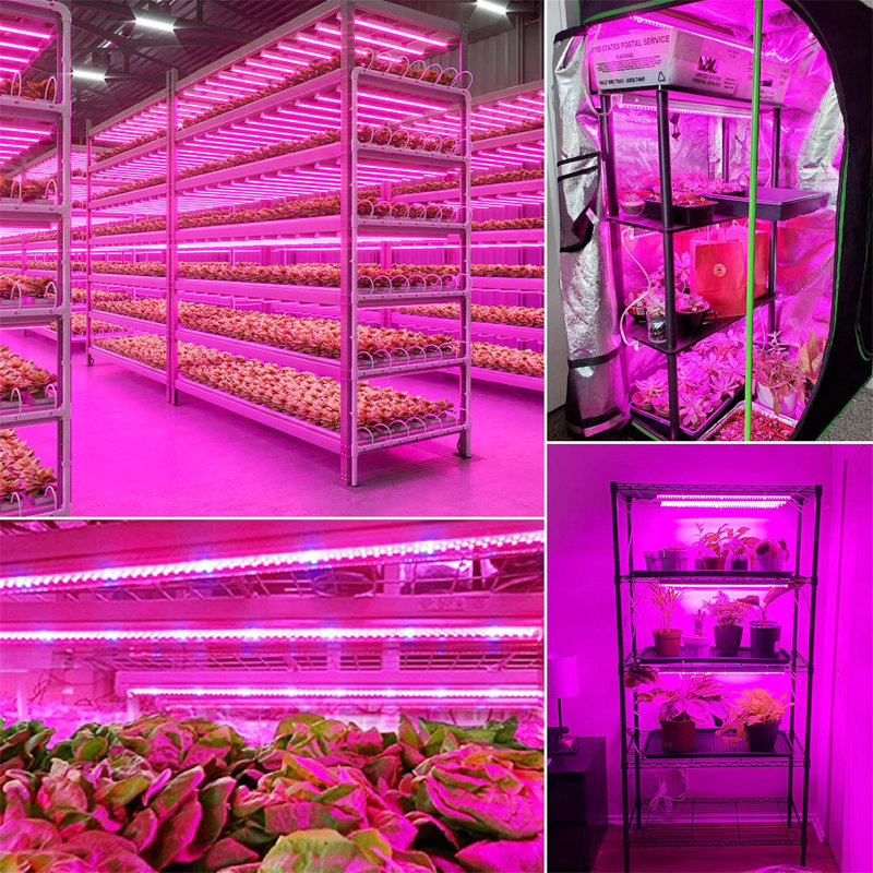YHSNFJING Grow Light