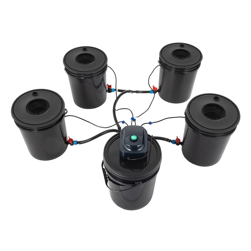 5-Bucket Deep Water Culture (DWC) Hydroponic Grow System Kit with Air Pump & Reservoir for Indoor Outdoor Gardening