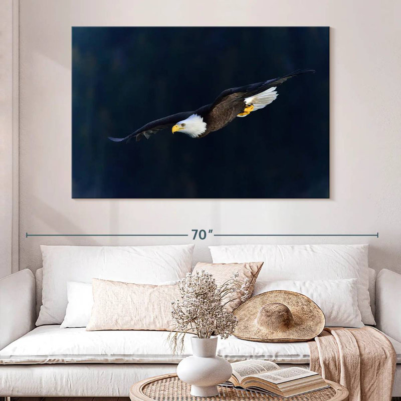 Brampt Aerodynamic Eagle, 34" H x 51" W