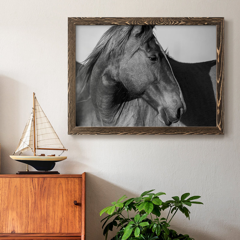 «Flint Hills Wild Horse», reproduction d'un seul cadre photo sur toile, Noyer, H 26 po x l 38 po x P 1,5 po