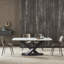 Damanpreet Metal Base Dining Table