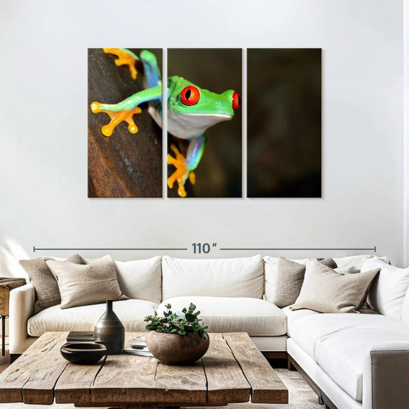 Brampt Tiny Red-Eyed Tree Frog, 48" H x 74" W