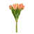 Orange selected
