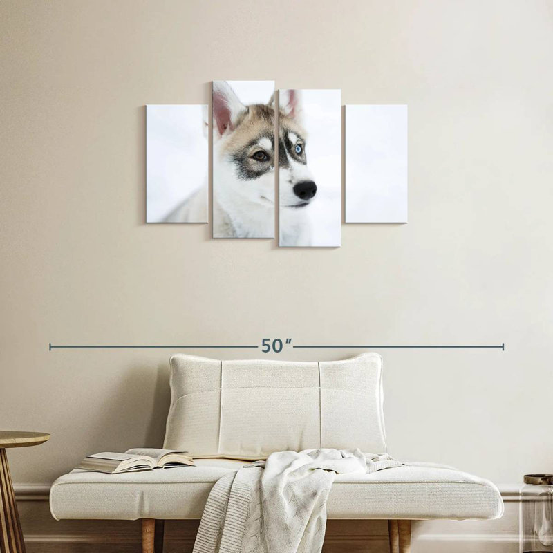 Brampt Glaring Husky, 22" H x 36" W