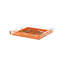 Plateau carré décoratif en acrylique Tigre à double vue-1668467485