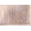 Tapis gris Legacy 8 pi 11 po x 12 pi 0 po Legacy