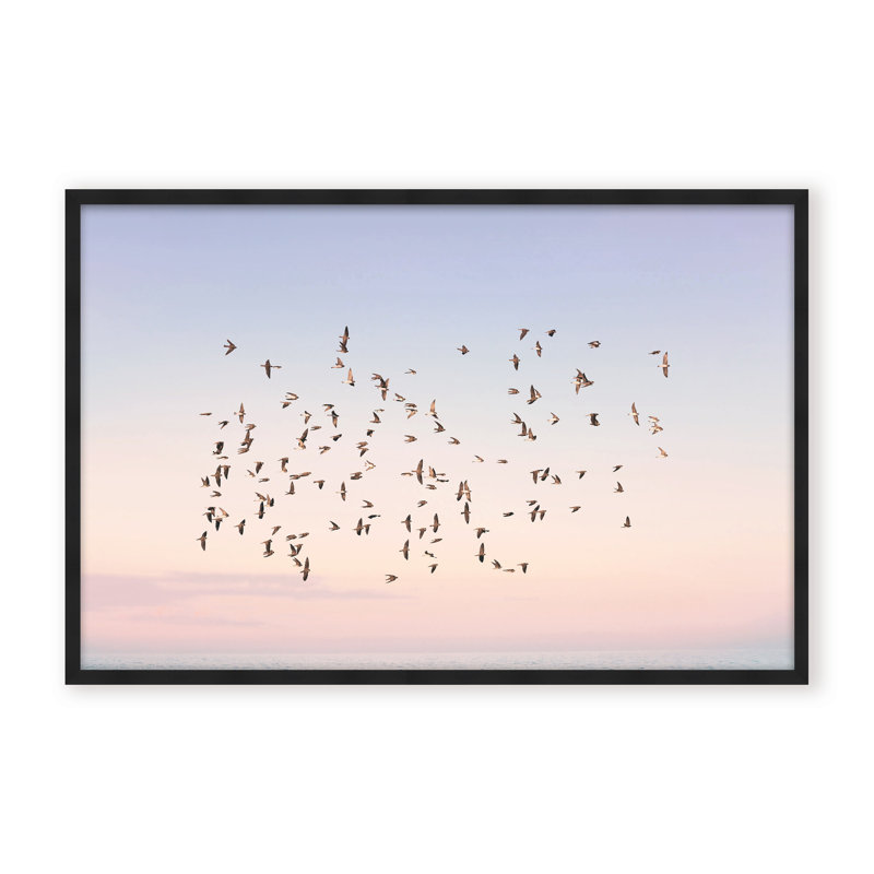 Nature Inspired Sunset Flight by  - Picture Frame Photograph on Paper, Framed Canvas, Brown, 32" H x 48" W x 2.375" D