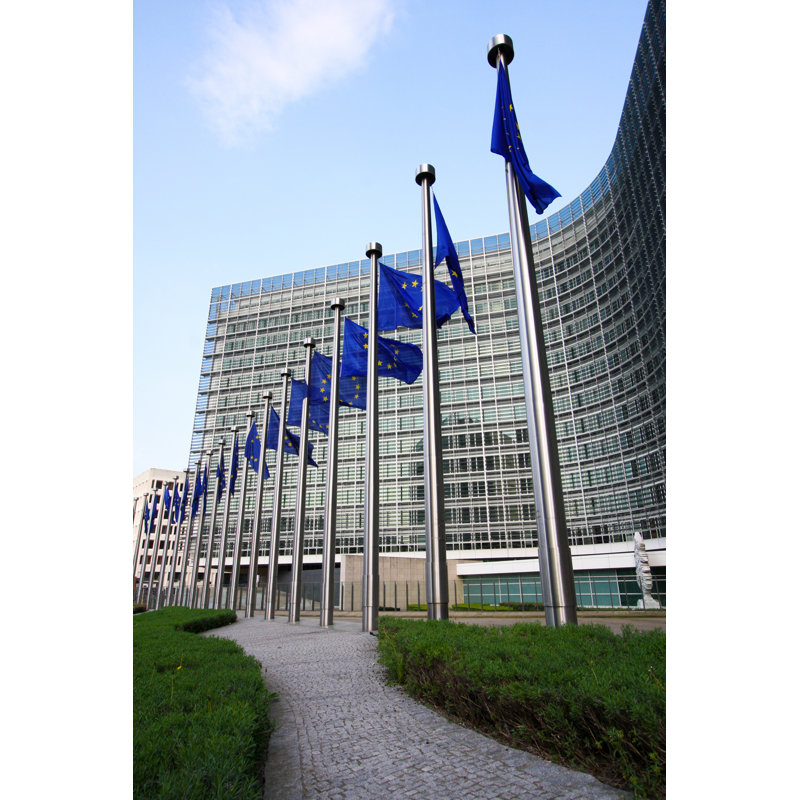 European Flags In Brussels by Jorisvo - Wrapped Canvas Print, 46cm H x 30cm W x 3.8cm D