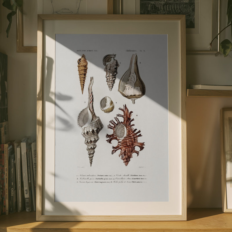 Wrapped Canvas Print, 76.2 cm H x 50.8 cm W