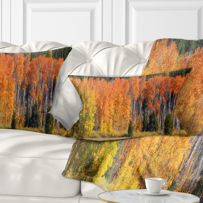 Coussin Schafer