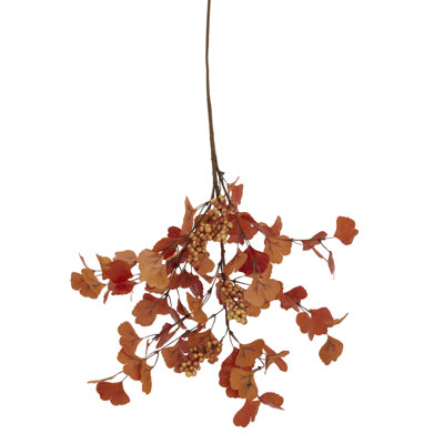 Arrangement