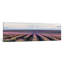 «Lavender Field, Provence, France» par Matteo Colombo - Estampe numérique sur toile tendue avec châssis-20833542-73153737