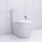 Elongated One Piece Toilet White