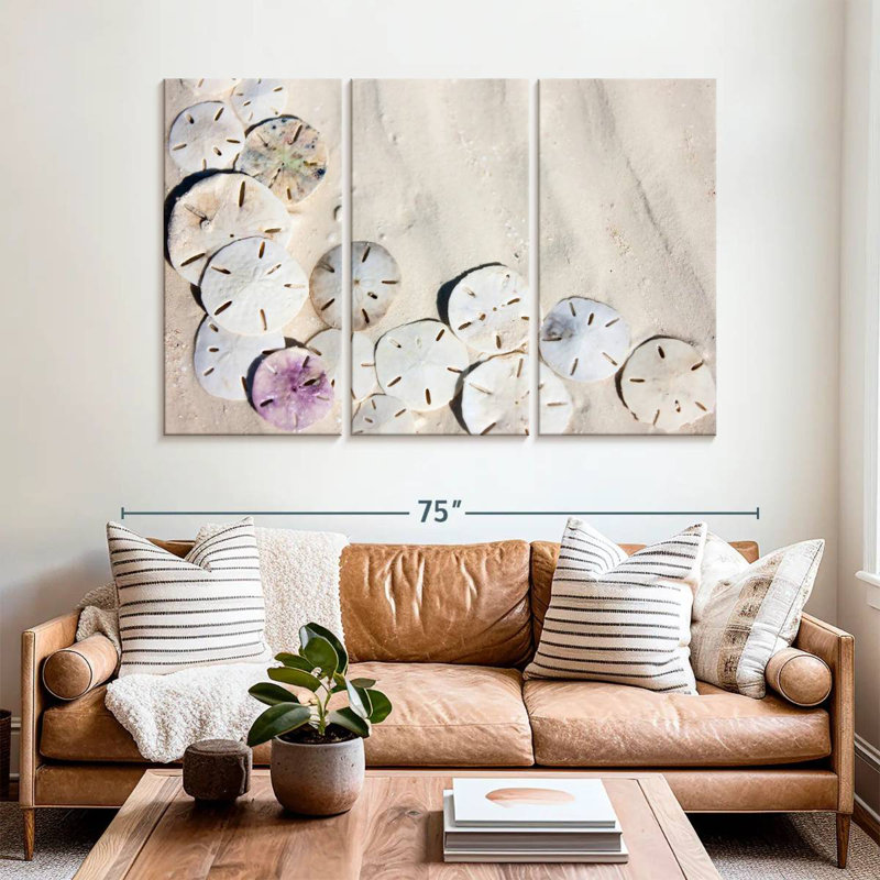 Brampt Beach Sand Dollars, 42" H x 65" W