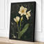 Daffodils on Stone Botanical - Wrapped Canvas-500799850-500799852