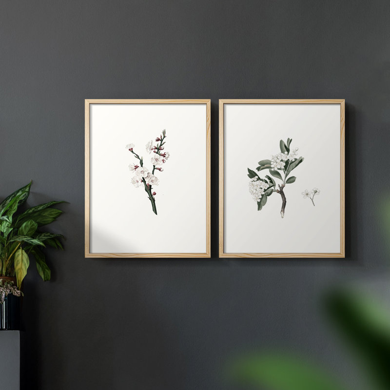 «Vintage Floral XXII», impression giclée sur cadre - ensemble de 2, Naturel, H 12 po x l 30 po