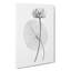 White Egyptian Lotus - Wrapped Canvas Print-55299346