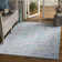 Trowbridge Oriental Cotton Hand Woven Area Rug