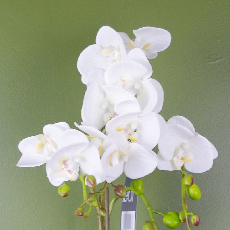 Plastic, Silk Artificial Arrangement in Pot, 54cm H x 20cm W x 20cm D, White