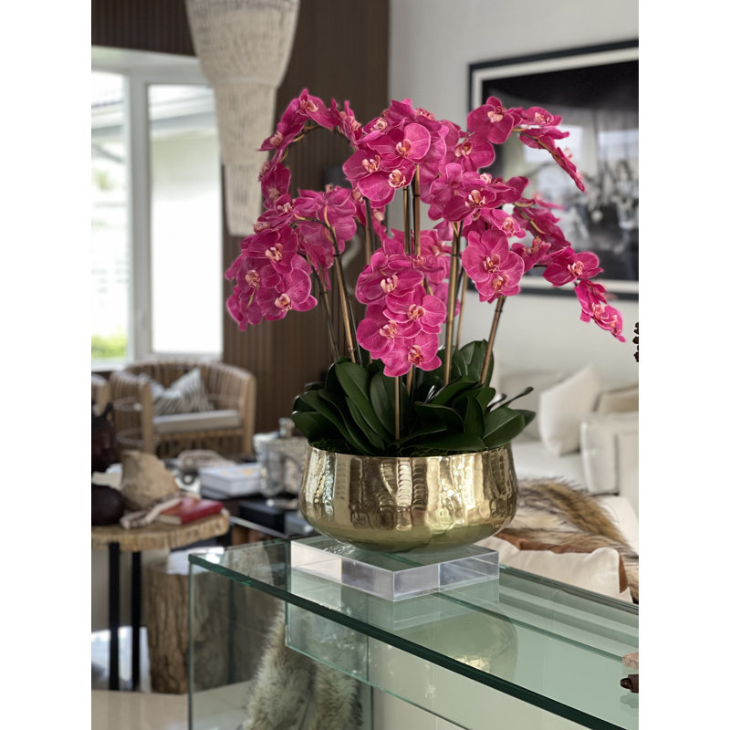 Roberi bowl with multiple stems of white Phalaenopsis orchids, 38" H x 22" W x 22" D, Pink