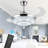Fenisia 42'' Ceiling Fan with LED Lights