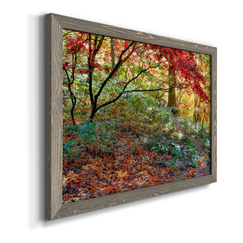 Secret Garden - Reproduction d'art graphique sur papier encadré, H 24 po x l 18 po x P 1,5 po, gris
