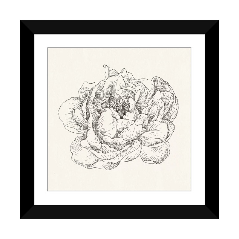 V, impression sur toile tendue Pen And Ink Florals, H 16 po x l 16 po x P 1 po, Papier beaux-arts encadré noir, Blanc