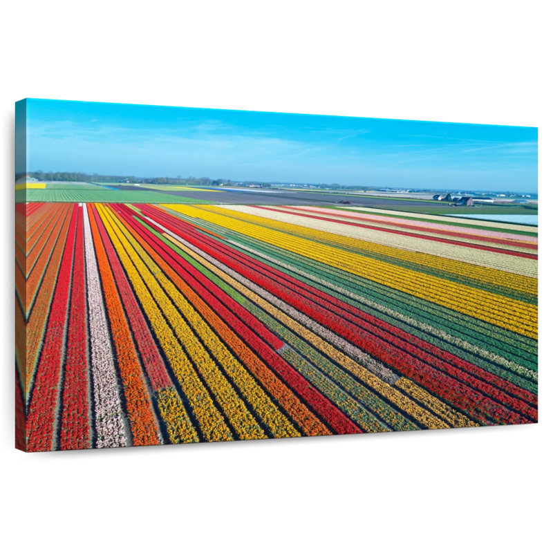 Ferme de tulipes sans fin Alvord, H 16 po x l 24 po
