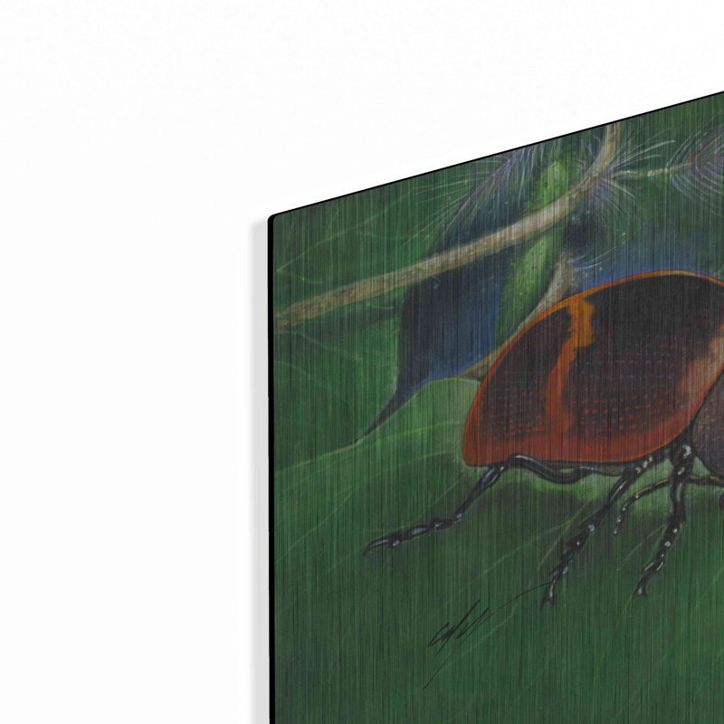 «Beetle» par Durwood Coffey, H 12 po x l 12 po