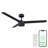 Breeze Collection Smart Indoor and Outdoor 52in 3-Blade Ceiling Fan with Remote Control Works With iOS or Android App-2019932934