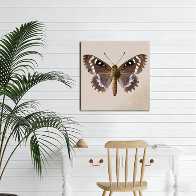 Ailes de papillon brun détaillées, art mural sans cadre, 16 x 16