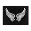 Ailes d'ange spirituelles en noir et blanc sur fond noir-1022923034