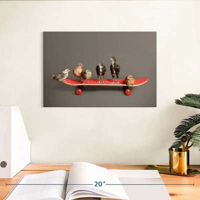 Brampt Chicks On Skateboard