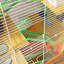 Cage à hamster de 18 po avec 5, tubes, tunnels, poignée de transport, orange, plat de nourriture, bouteille d'eau, roue d'exercice pour petits hamsters et tubes portatifs