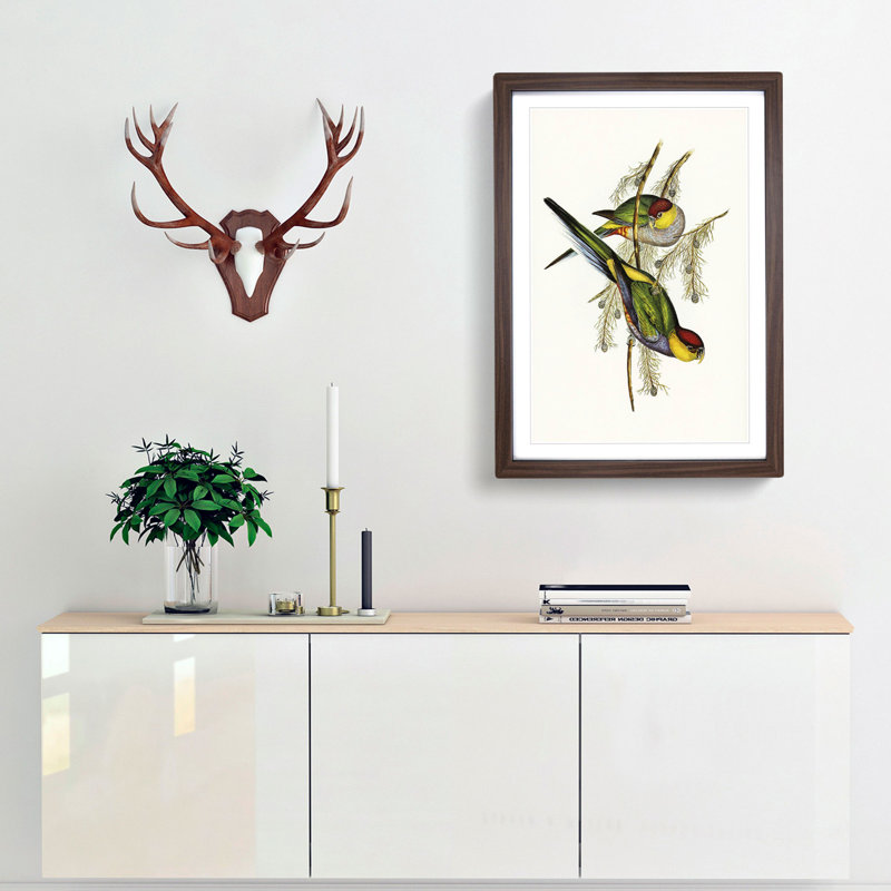 Red-Capped Parakeets by Elizabeth Gould - Picture Frame Painting Print, 65cm H x 48cm W x 2cm D, Walnut Framed