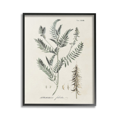 WoodlandLeafStudyGicleeArtbyMartini