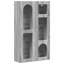 Accent Cabinet-1638788966