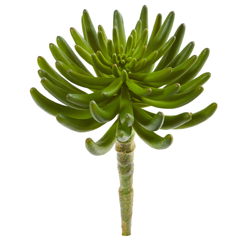 Plante succulent artificielle