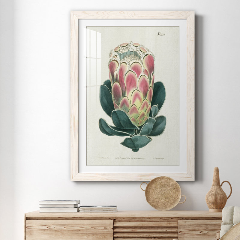 Protea N83 - Peinture encadrée, Cadre blanc, H 44 po x l 31 po x P 1 po
