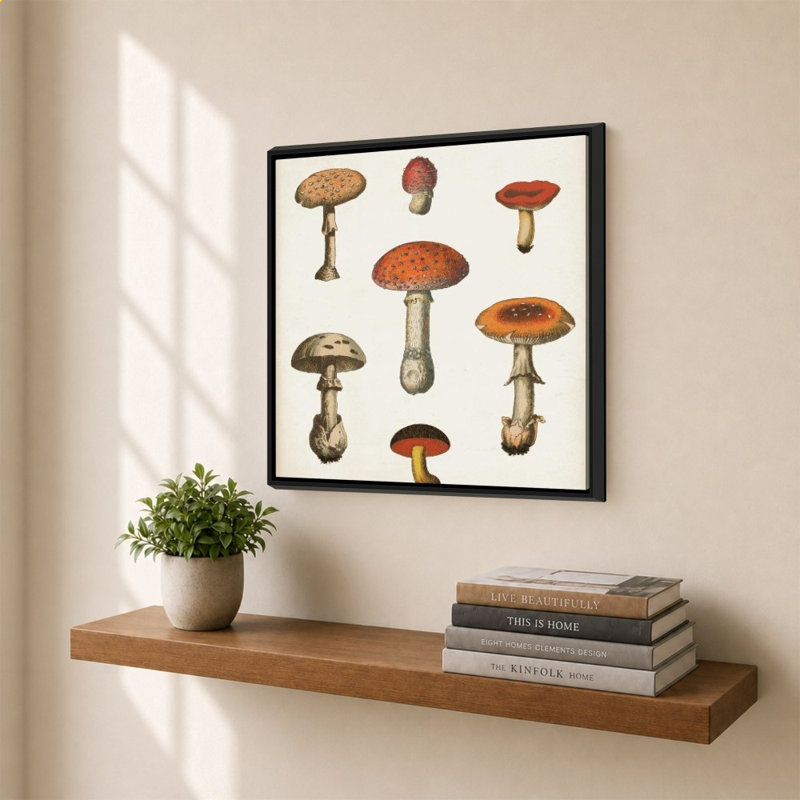 «Mushroom Chart III Light» par Wild Apple Portfolio - impression sur toile, 34" H x 34" W, Black