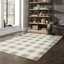 Tapis brun clair / ivoire Dashelle-768258216