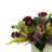 Hydrangea, Ranunculus and Protea in Grey Pot