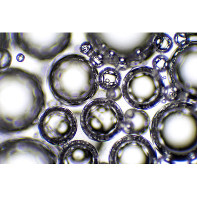 Microscopic Image of Saliva 1 Piece Wrapped Canvas Wall Art