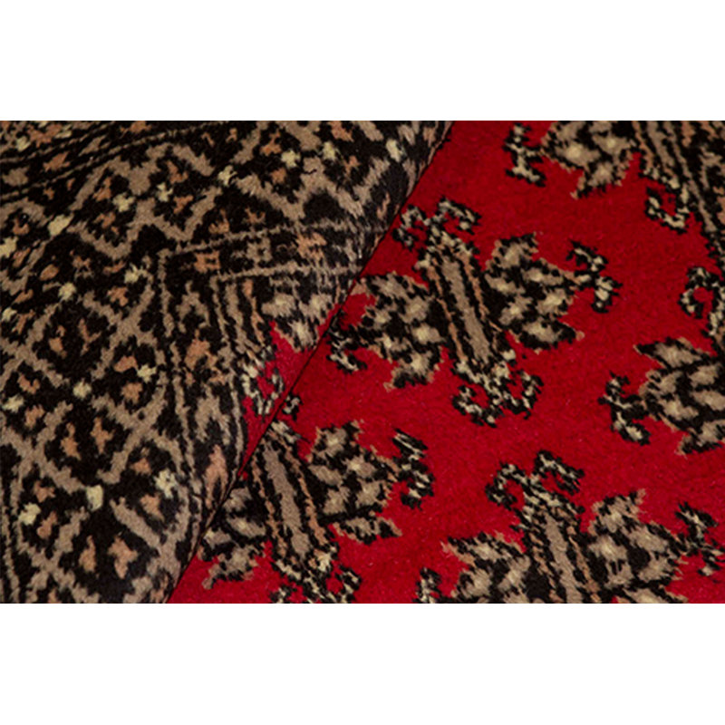 Hand-Knotted High-Quality Area Rug